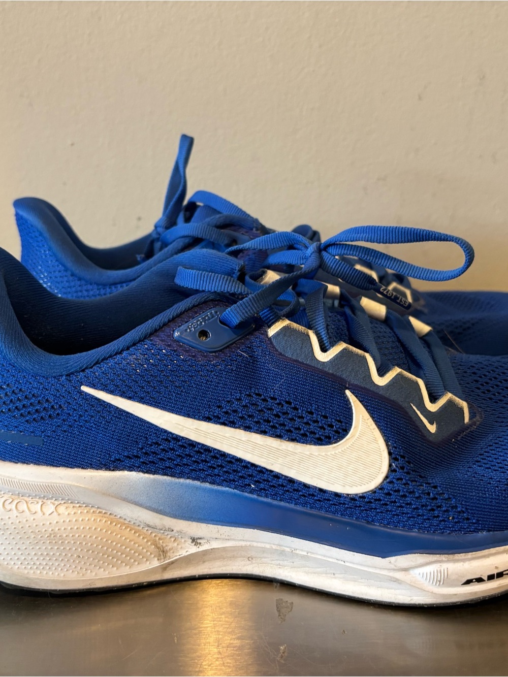 Nike Royal Blue Athletic Sneakers with White Swoosh